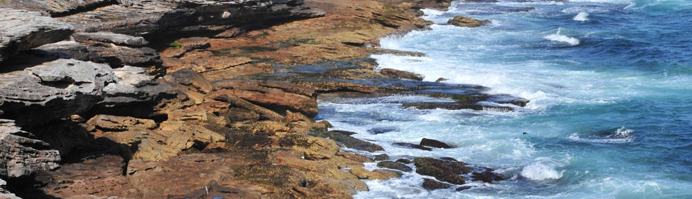 Cuff & Co Australia